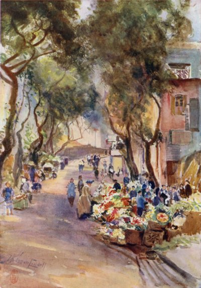 Hongkong, der Blumenmarkt von Thomas Hodgson Liddell